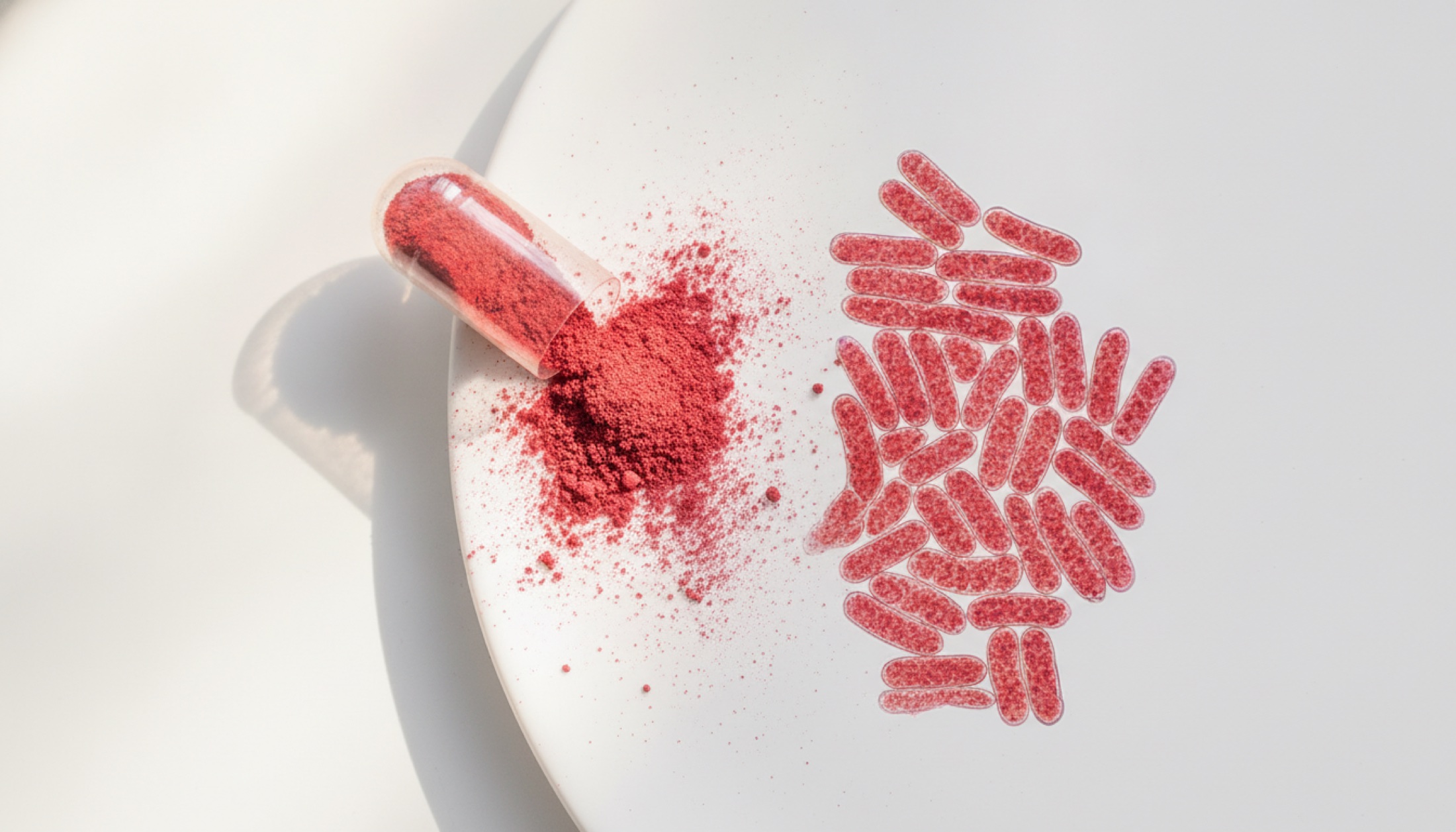 Astaksantin karotenoid tozu ve güneş koruması bilimsel görsel