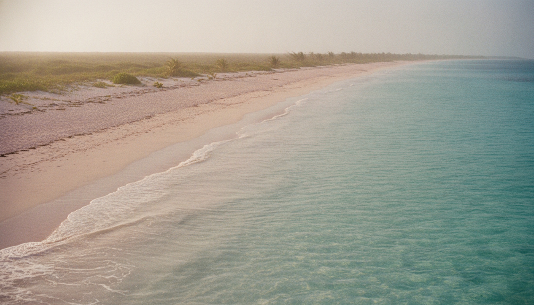Barbuda'nın pembe kumlu sahili sabah ışığında, önünde türkuaz Karayip denizi, kıyı boyunca seyrek tropikal bitki örtüsü