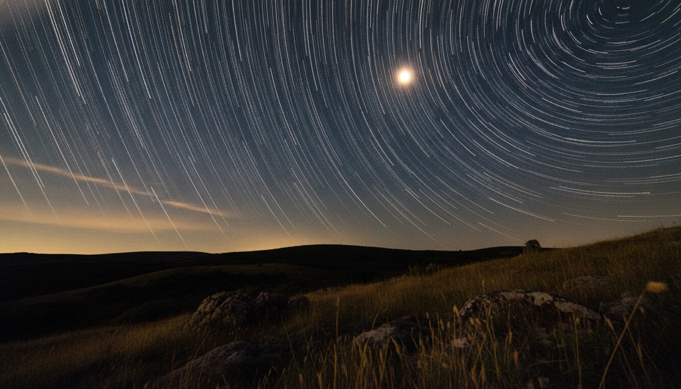 Gece gökyüzünde yıldız izlerini gösteren uzun pozlama fotoğrafı, ön planda kuru yaz otları