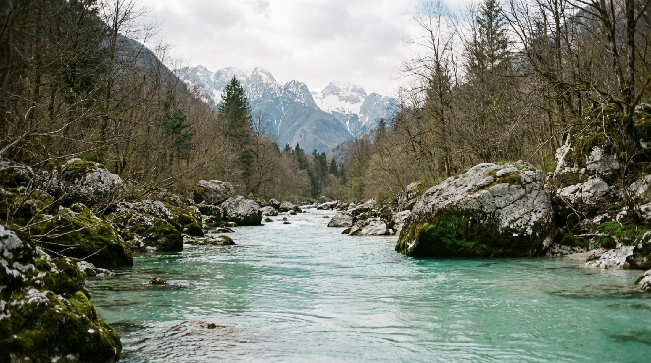Slovenya Soça vadisinde köprüden görülen turkuaz renkli nehir ve çam ormanıyla çevrili kayalık yamaçlar, bahar sabahı